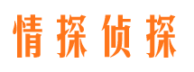 高县私家调查公司